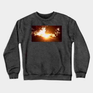 Sunburst Crewneck Sweatshirt